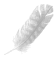 feather to fire